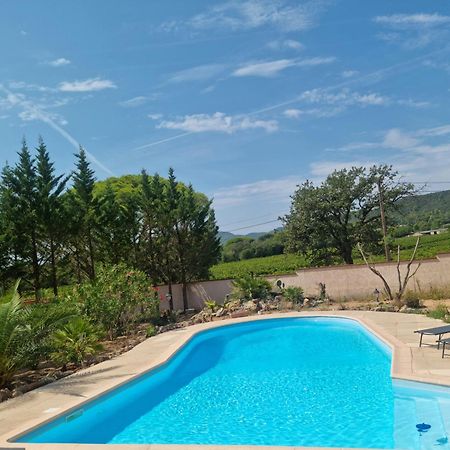 Chambre Face Aux Vignes Vidauban Esterno foto