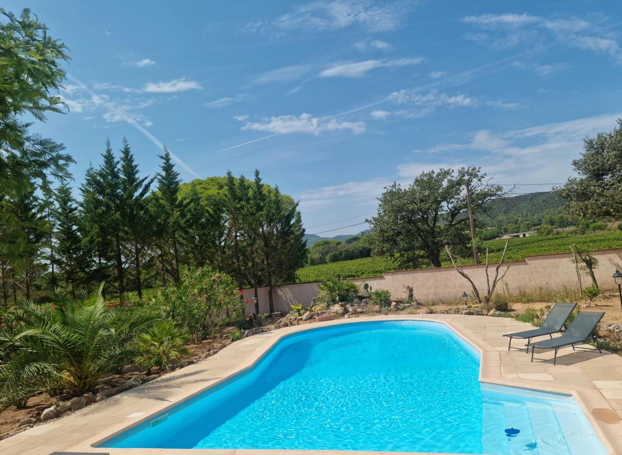 Chambre Face Aux Vignes Vidauban Esterno foto